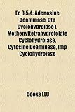 EC 3.5.4: Adenosine Deaminase, Gtp Cyclohydrolase I, Methenyltetrahydrofolate Cyclohydrolase, Cytosine Deaminase, Imp Cyclohydro-