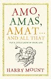 Amo, Amas, Amat... and All That: How to Become a Latin Lover