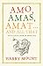 Amo, Amas, Amat... and All That: How to Become a Latin Lover