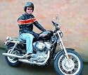 Hire a Harley Davidson for the day