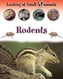 Rodents