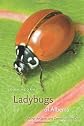 Ladybugs of Alberta: Finding the Spots and Connecting the Dots (Alberta Insects Series)