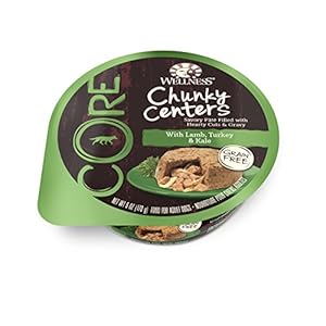 Wellness CORE Chunky Centers Natural Grain Free Wet Canned Dog Food, Lamb, Turkey and Kale Recipe, 6 Ounce
