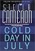Book Cold Day In July