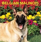 Belgian Malinois: 2003