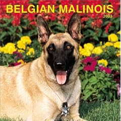 Belgian Malinois: 2003
