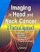 Imaging of Head and Neck Cancer