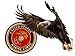 United States Marine Corps Soaring Eagle Decal 6