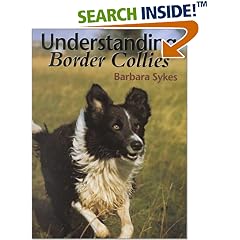 Understanding Border Collies