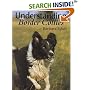 Understanding Border Collies