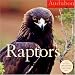 Audubon Raptors 2008 Wall Calendar