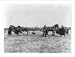 Historic Print (L): [Re-enactment of Otto von Guericke's experiment proving atmospheric pressure; 2 teams of