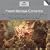 Archiv Masters - Konzerte des franz�sischen Barock