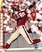 Jerry Rice - Over the shoulder catch - 49ers Art Poster PRINT Unknown 8x10