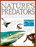 Nature's Predators (The Illustrated Wildlife Encyclopedia)