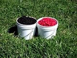 Frozen Wild Black Huckleberries