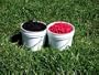 Frozen Wild Black Huckleberries