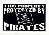 Jolly Roger Property Sign
