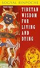 The Tibetan Book of Living and Dying