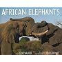 African Elephants