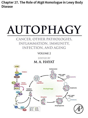 Autophagy: Chapter 27. The Role of Atg8 Homologue in Lewy Body Disease