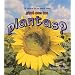 Que Son Las Plantas? (Ciencia de los Seres Vivos) (Spanish Edition)