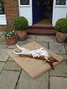 ExtraComfort Extra Large Orthopaedic Memory Foam Dog Bed In Faux Suede Finish 7cm (3 inches) Deep