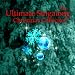 Winter Wonderland (as made famous by Phil Spector) (Singalong Version)