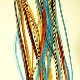 6 Feathers 8 -11 Brown Mix Blue Turquoise and grizzly for Hair Extension and kit