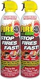 Fire Gone 2NBFG2704 White/Red Fire Extinguisher - 16 oz., (Pack of 2)