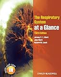 The renal system at a glance