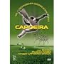 Capoeira Basic Techniques