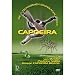 Die technischen Grundlagen des Capoeira