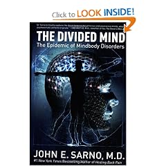 The Divided Mind: The Epidemic of Mindbody Disorders