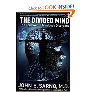 The Divided Mind