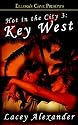 Hot in the City 3: Key West