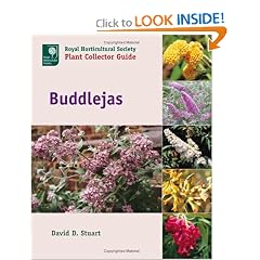 Buddlejas (Royal Horticultural Society Plant Collector Guide)