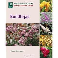 Buddlejas (Royal Horticultural Society Plant Collector Guide)