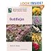 Buddlejas (Royal Horticultural Society Plant Collector Guide)