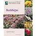 Buddlejas (Royal Horticultural Society Plant Collector Guide)