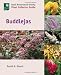 Buddlejas (Royal Horticultural Society Plant Collector Guide)