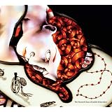 Extra Virgin: The Stained Glass of Judith Schaechter