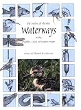 The Nature of Florida's Waterways Including Dragonflies, Cattails and Mangrove Snapper
