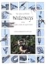The Nature of Florida's Waterways Including Dragonflies, Cattails and Mangrove Snapper