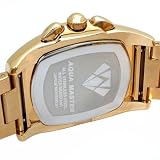 Aqua Master Gold Steel 0.20 ct. Diamond Mens Watch