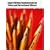 Report Writing Fundamentals for Police and Correctional Officers