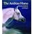 The Arabian Horse: History, Mystery and Magic