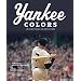 Yankee Colors: The Glory Years of the Mantle Era