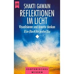 Reflektionen im Licht