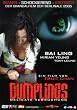 Dumplings - Delikate Versuchung (Einzel-DVD)